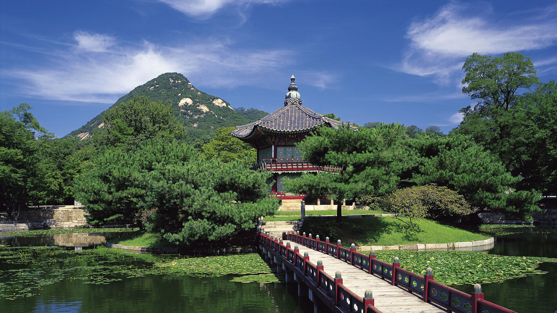 世界举重康复线上工作坊：功能训练技巧推广至基层俱乐部，世界举重官网